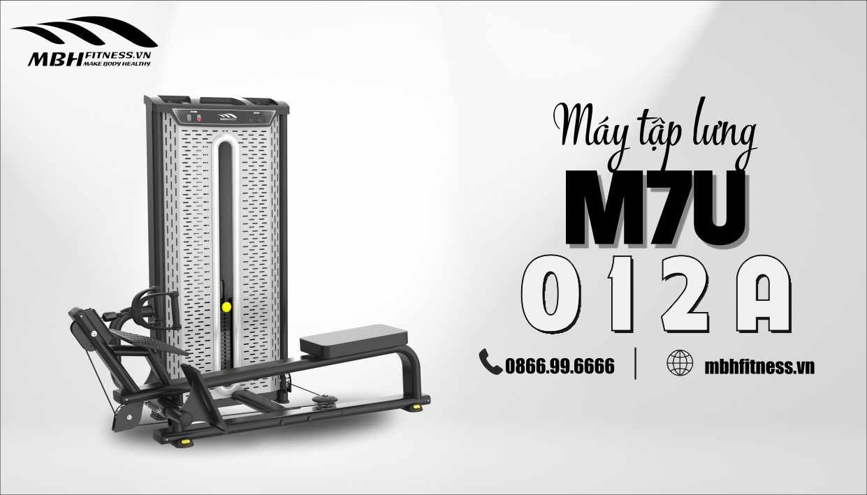 Máy tập lưng M7U-012A