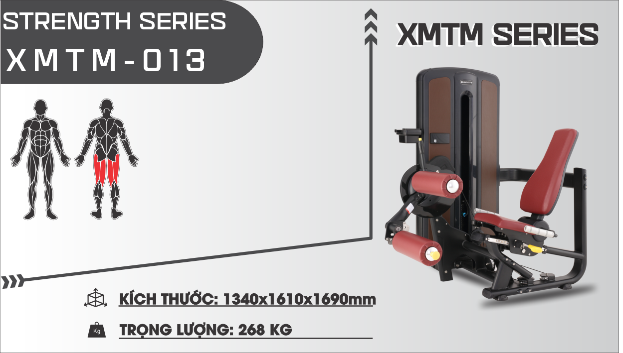 Sản phẩm XMTM-013