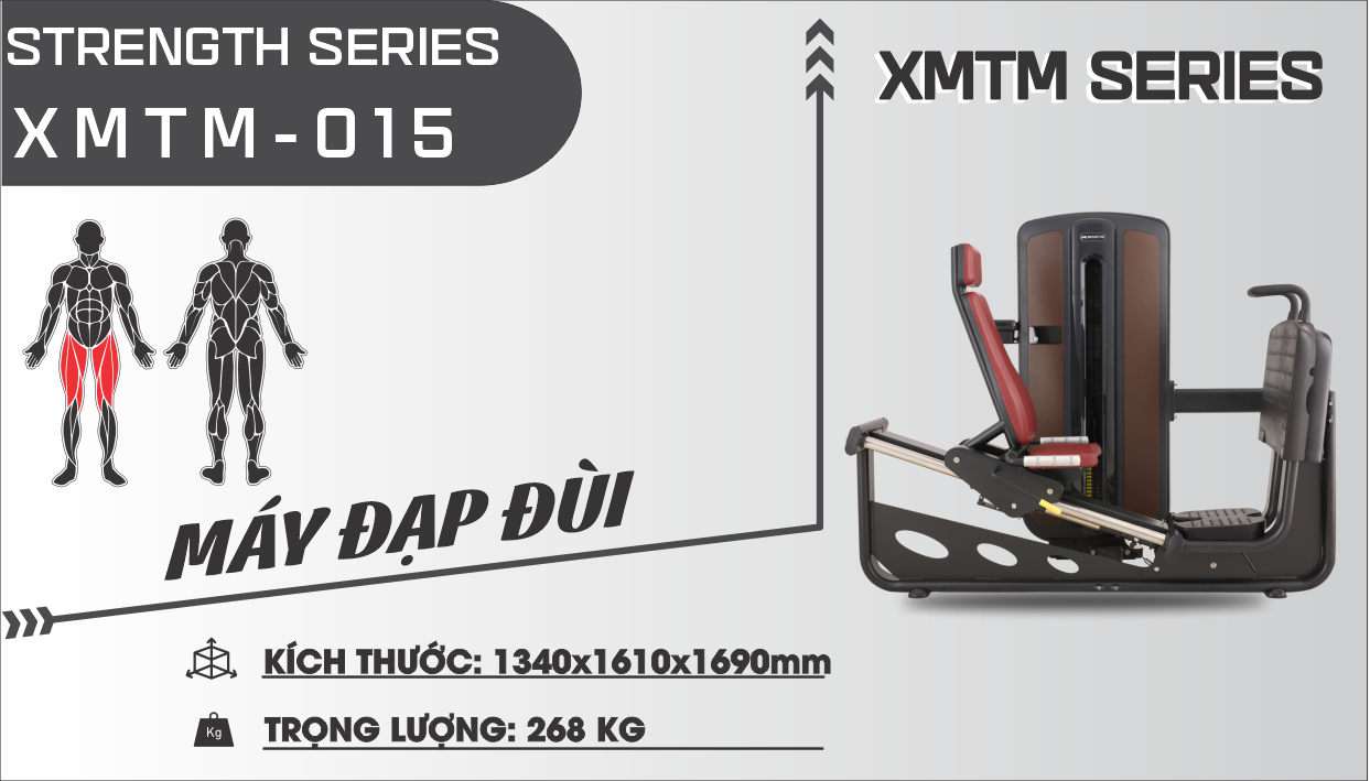 Sản phẩm máy đạp đùi XMTM-015